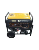 GENERADOR DUAL GASOLINA/GLP 7000W