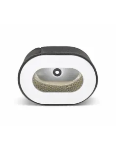 FILTRO DE AIRE 10 HP - 13 HP