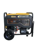 GENERADOR 12000WATTS, GASOLINA